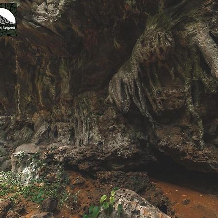 فيلا Khaosok Legend Khao Sok National Park المظهر الخارجي الصورة