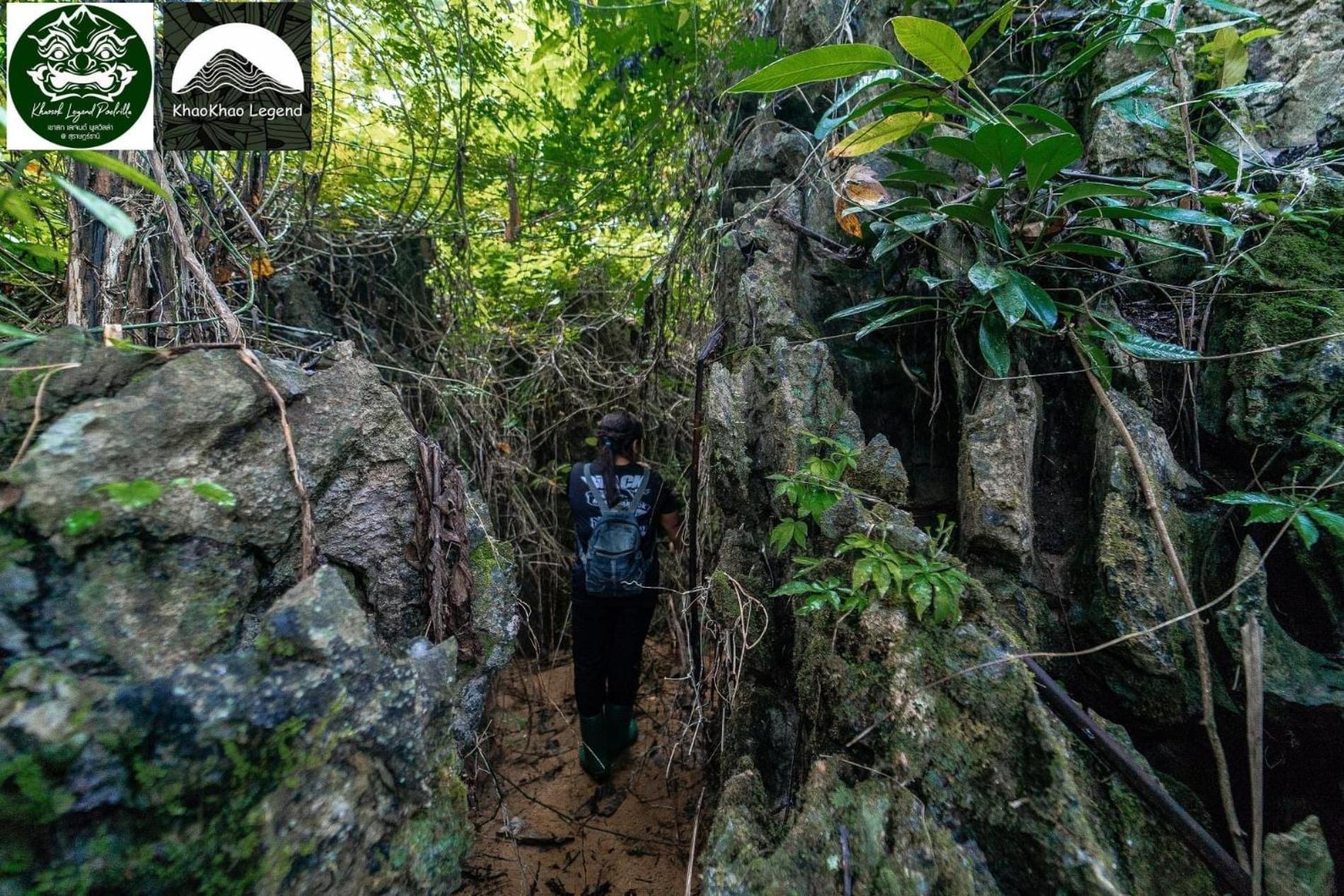 فيلا Khaosok Legend Khao Sok National Park المظهر الخارجي الصورة