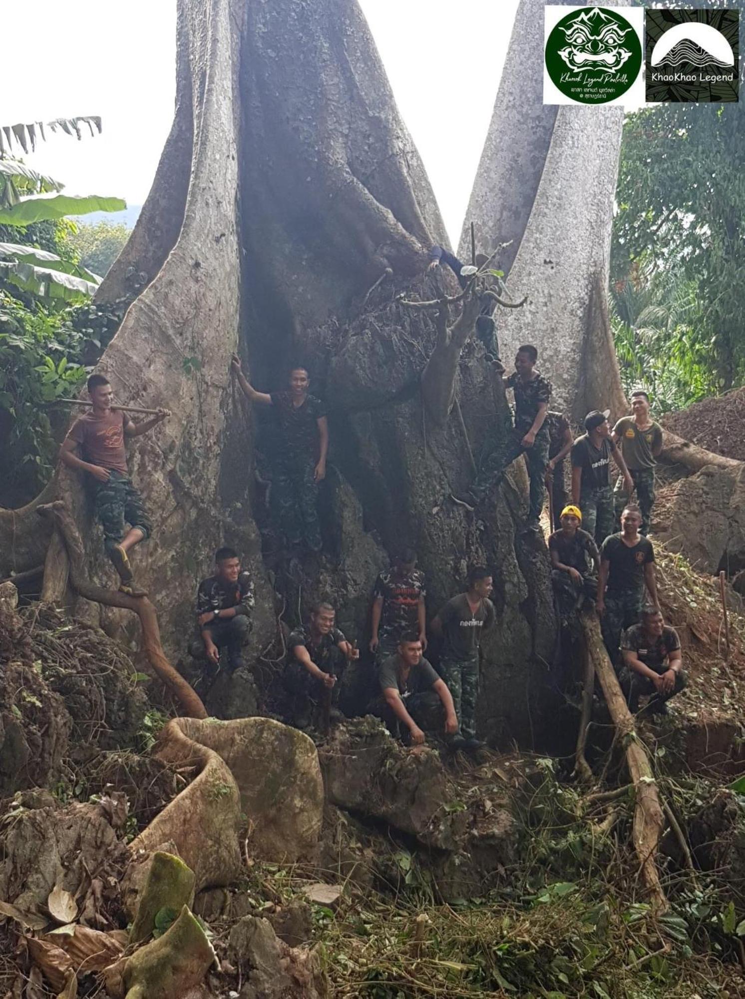 فيلا Khaosok Legend Khao Sok National Park المظهر الخارجي الصورة